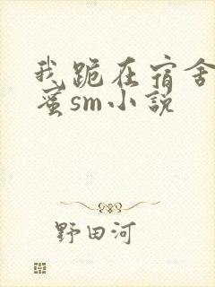 我跪在宿舍被闺蜜sm小说封面