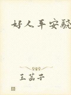 好人平安骁骑校封面