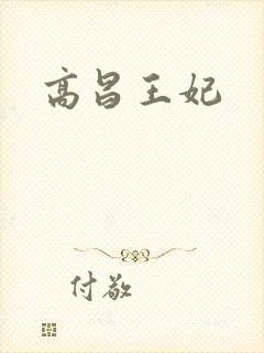 高昌王妃封面
