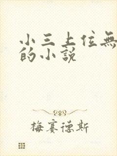 小三上位无三观的小说