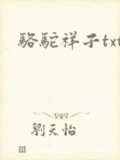 骆驼祥子txt封面