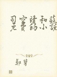 司空靖和苏月汐免费的小说笔趣阁