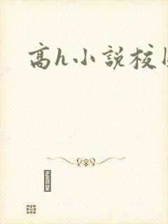 高h小说校园封面