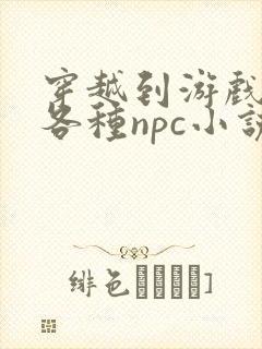 穿越到游戏里和各种npc小说