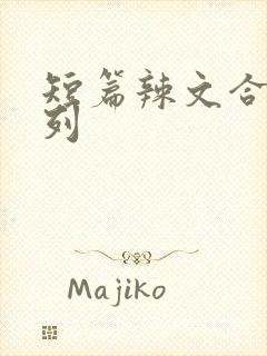 短篇辣文合集系列