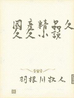 国产精品久久久久久小说