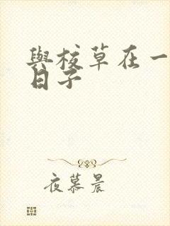 与校草在一起的日子