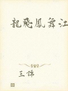 龙飞凤舞江一龙封面