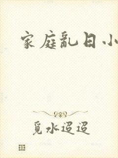家庭乱日小说封面