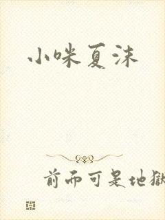 小咪夏沫封面