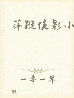 萍踪侠影小说封面