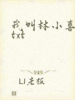 我叫林小喜小说txt