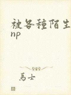 被各种陌生人 np封面