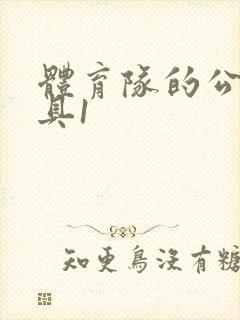 体育队的公用玩具1