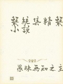 系统集精系统 小说