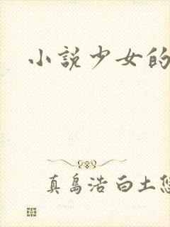 小说少女的心