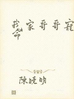 我家哥哥宠妹如命