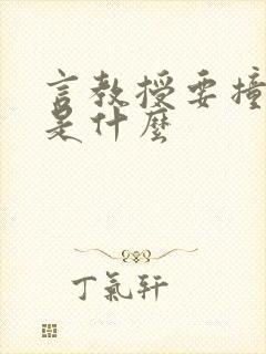 言教授要撞坏了是什么