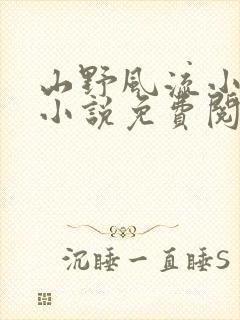 山野风流小神医小说免费阅读封面