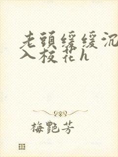 老头缓缓沉腰进入校花h