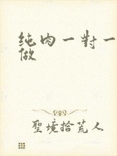 纯肉一对一到处做