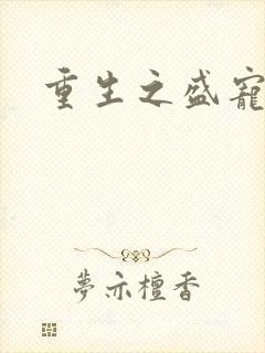 重生之盛宠封面