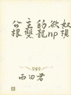 公主的欲奴h四根双龙np视频