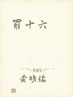 罗十六