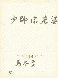 少帅你老婆封面