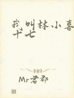 我叫林小喜今年十七