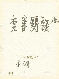 木宁顾知胤小说免费阅读