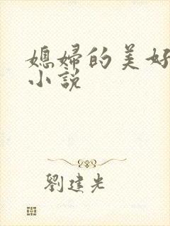 媳妇的美好时代小说