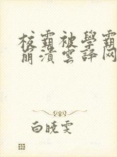 校霸被学霸玩到崩溃云译网