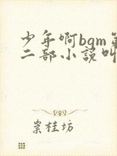 少年啊bgm第二部小说叫什么