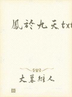 凤于九天txt封面