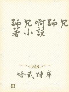 师兄啊师兄的原著小说封面