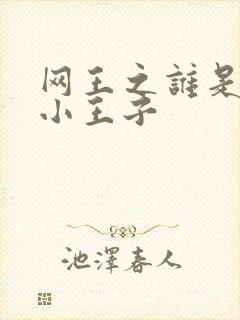 网王之谁是我的小王子