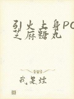 引火上身POP芝麻糖丸封面