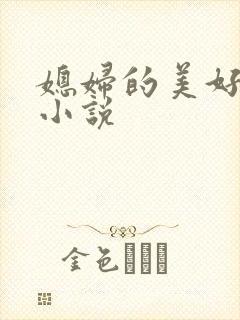 媳妇的美好时代小说封面