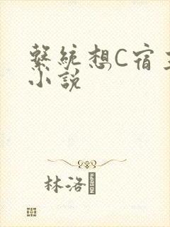 系统想C宿主的小说