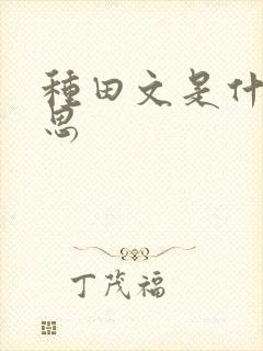 种田文是什么意思