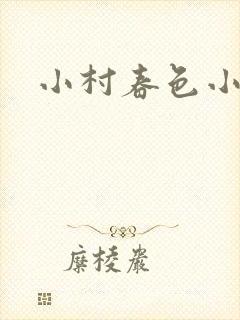 小村春色小说