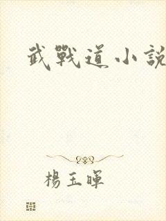 武战道小说封面