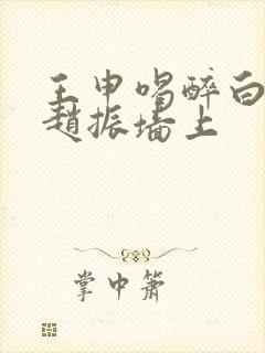 王申喝醉白洁被赵振墙上