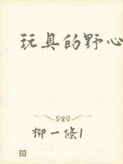 玩具的野心封面