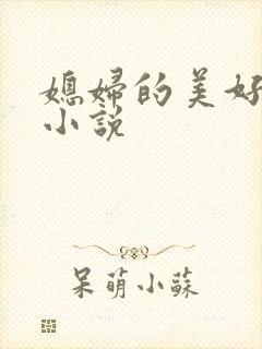 媳妇的美好时代小说