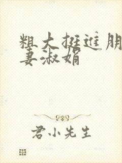 粗大挺进朋友人妻淑娟封面