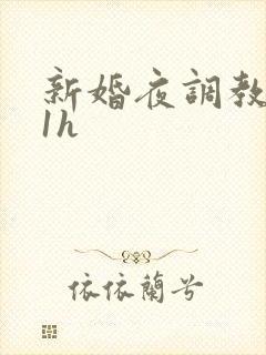 新婚夜调教1v1h封面