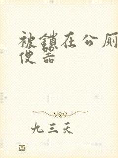 被锁在公厕当坐便器封面