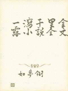 一泻千里金银花露小说全文免费阅读封面